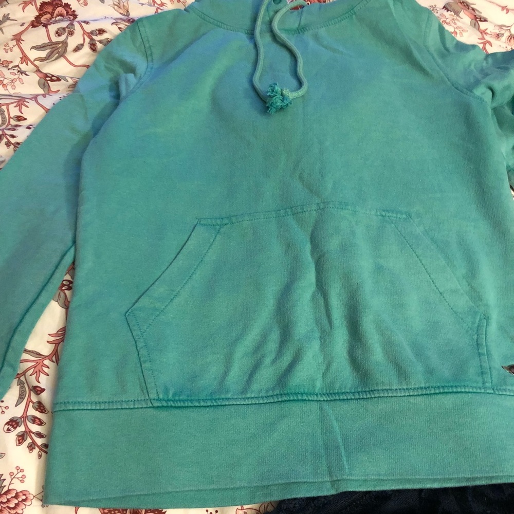 Teal sims hoodie sweater